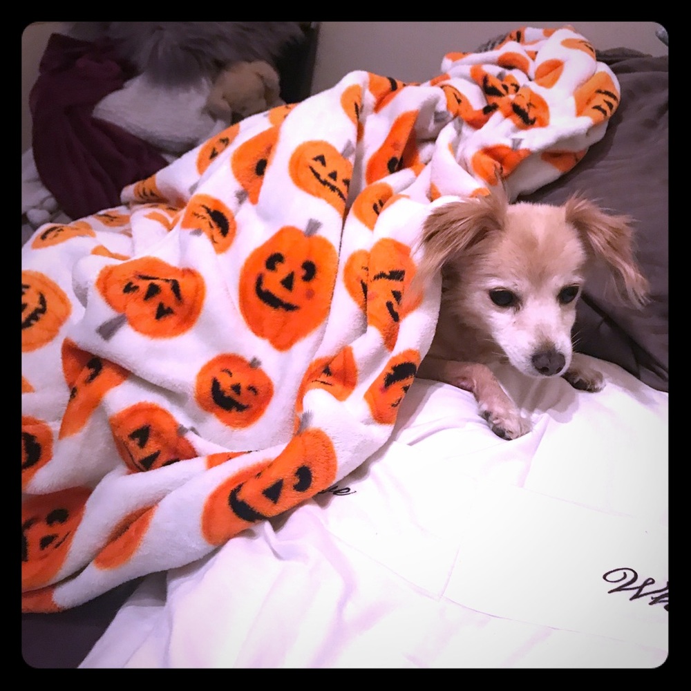 Meet your Posher, Milan